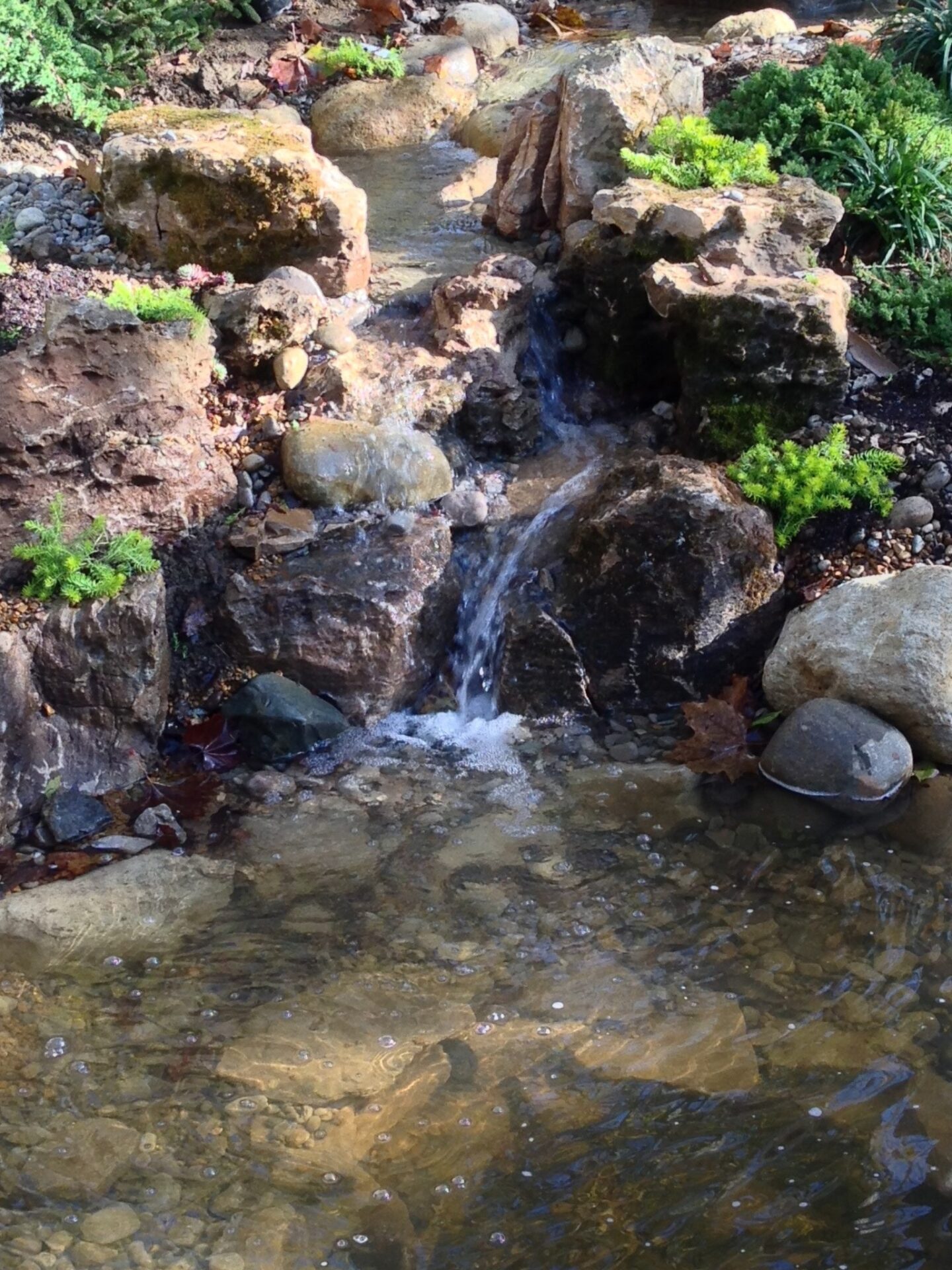 Backyard Waterfalls